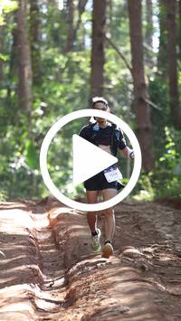 BIB:  <button type="button" onclick="openModal(26569560)" class="btn btn-primary btn-sm float-right" data-toggle="modal" data-target=".modal-high-quality">
                <i class="fa fa-download"></i> Download
                </button>